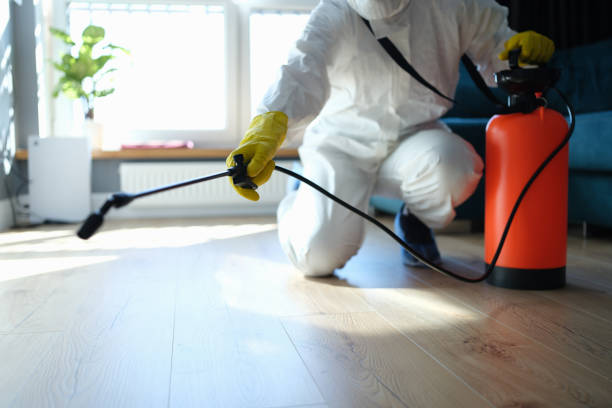 Reliable Sewage Cleanup contractor in Fort Pierce, FL by Trauma Clean Pros